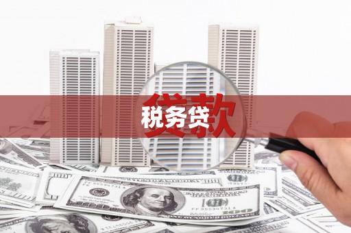 平乡税务贷