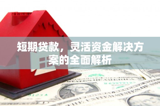 平乡短期贷款，灵活资金解决方案的全面解析