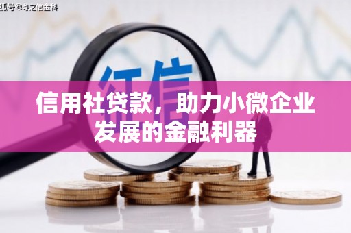 平乡信用社贷款，助力小微企业发展的金融利器