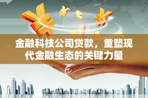 平乡金融科技公司贷款，重塑现代金融生态的关键力量