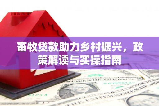 平乡畜牧贷款助力乡村振兴，政策解读与实操指南