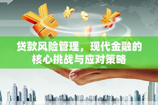 平乡贷款风险管理，现代金融的核心挑战与应对策略