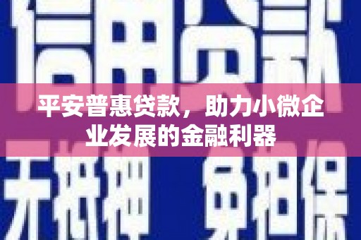 平乡平安普惠贷款，助力小微企业发展的金融利器