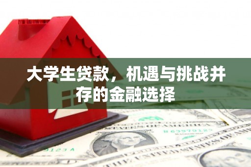 平乡大学生贷款，机遇与挑战并存的金融选择