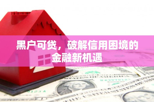 平乡黑户可贷，破解信用困境的金融新机遇
