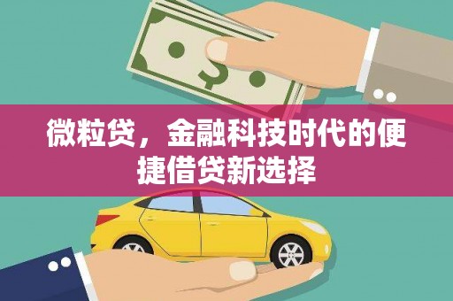 平乡微粒贷，金融科技时代的便捷借贷新选择