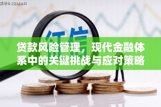 平乡贷款风险管理，现代金融体系中的关键挑战与应对策略