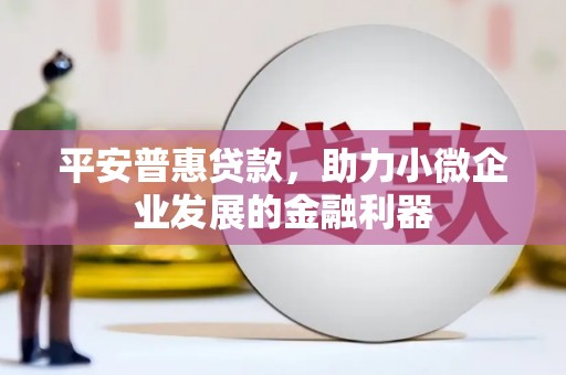 平乡平安普惠贷款，助力小微企业发展的金融利器