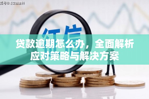 平乡贷款逾期怎么办，全面解析应对策略与解决方案