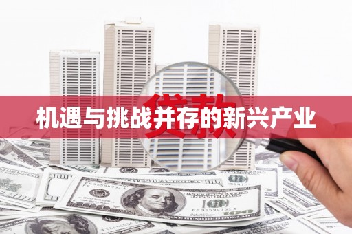 平乡机遇与挑战并存的新兴产业