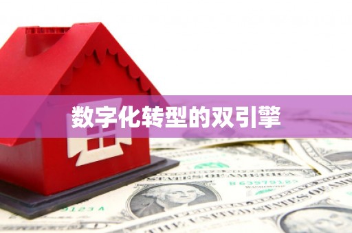 平乡数字化转型的双引擎