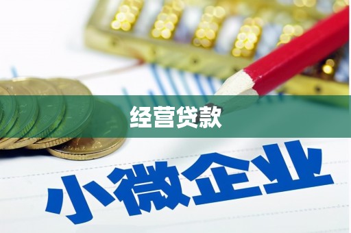 平乡经营贷款
