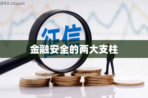 平乡金融安全的两大支柱