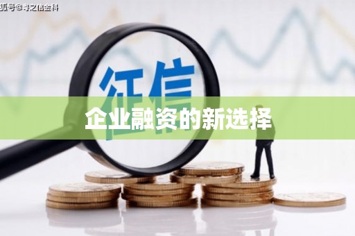 平乡企业融资的新选择