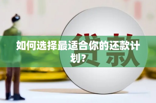平乡如何选择最适合你的还款计划？
