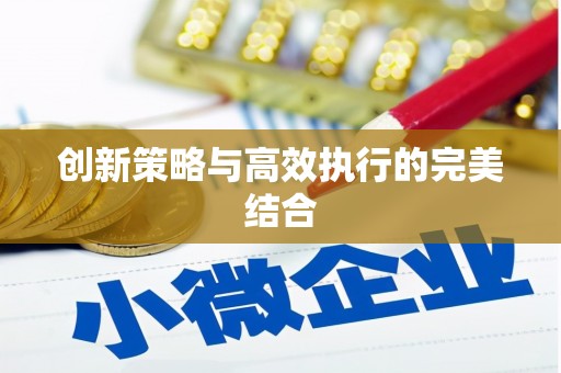 平乡创新策略与高效执行的完美结合