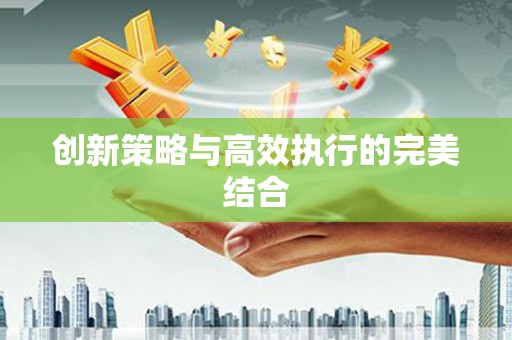平乡创新策略与高效执行的完美结合