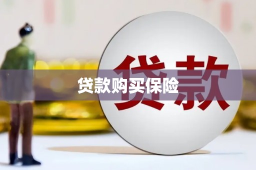 平乡贷款购买保险