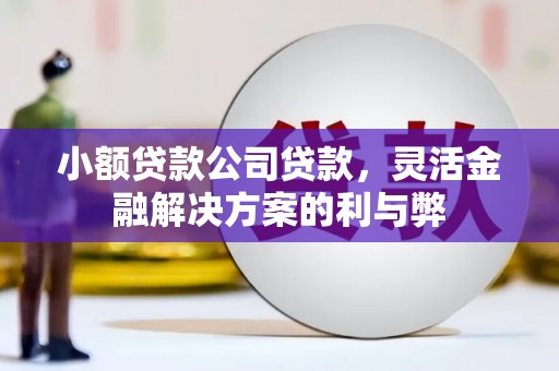 平乡小额贷款公司贷款，灵活金融解决方案的利与弊